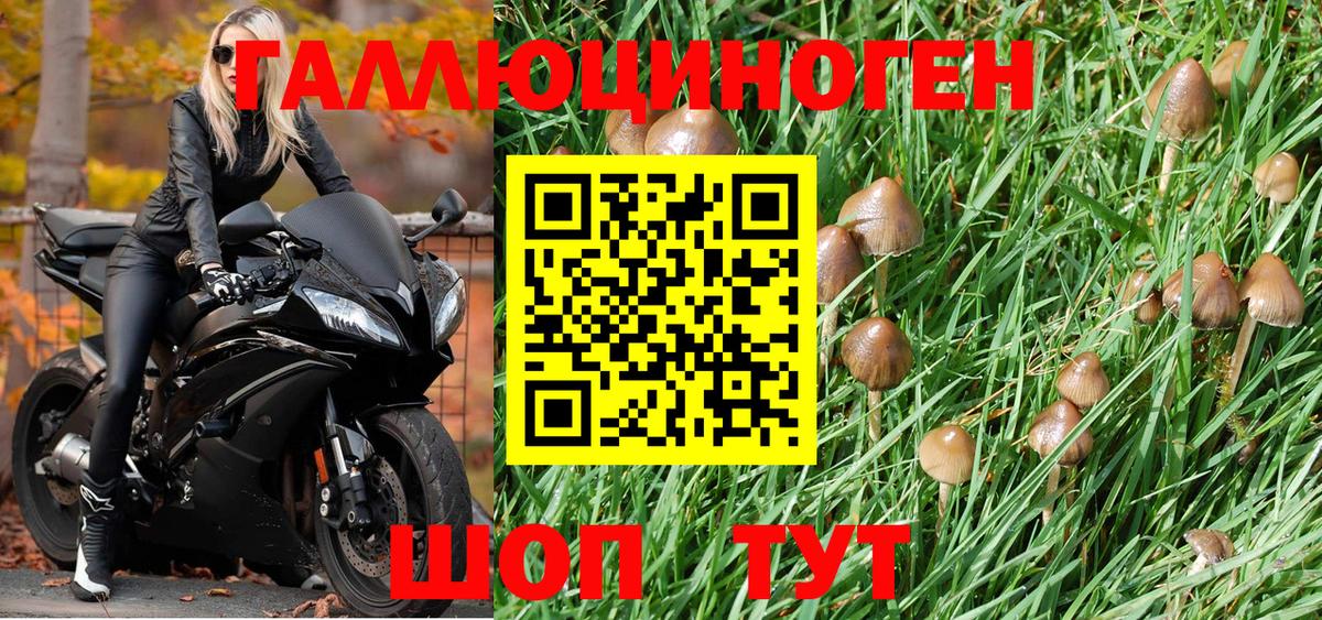 Галлюциногенные грибы Psilocybe  Галлюциногенные грибы Cubensis  Вход с VPN  Назарово 